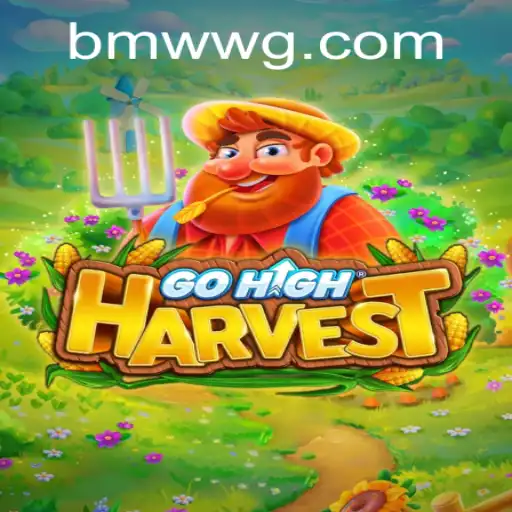 WG-BMW.COM Casino App